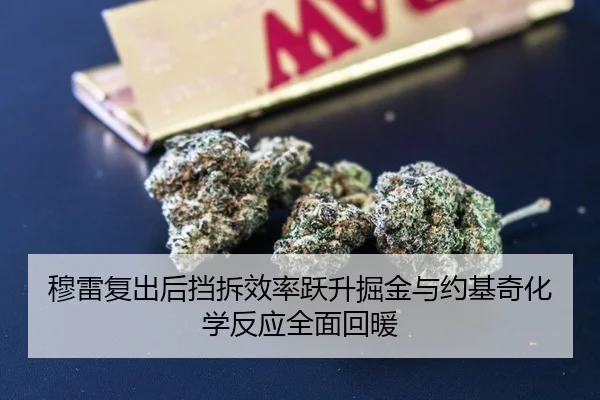 穆雷复出后挡拆效率跃升掘金与约基奇化学反应全面回暖